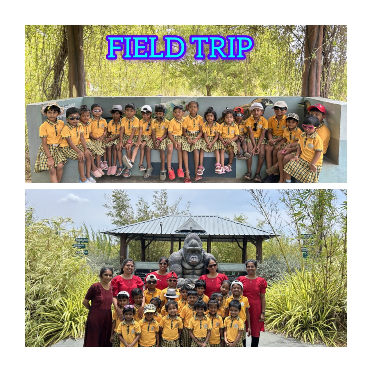 Field Trip